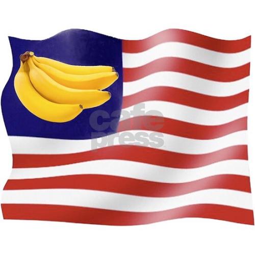 C1F35F2A-85AE-4675-9FD5-667FD3D350F7