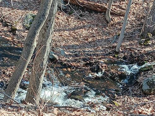 dac4eb20-d94c-4192-9440-a10c68d6a68b