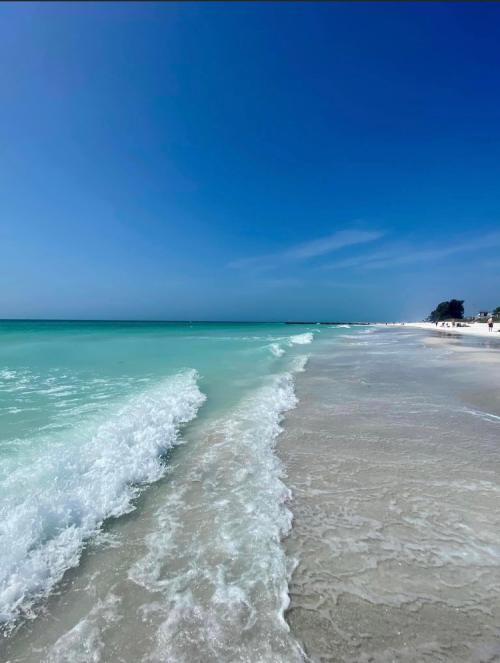 10B05BDF-3219-462F-8B5D-6A0AA740CFB0