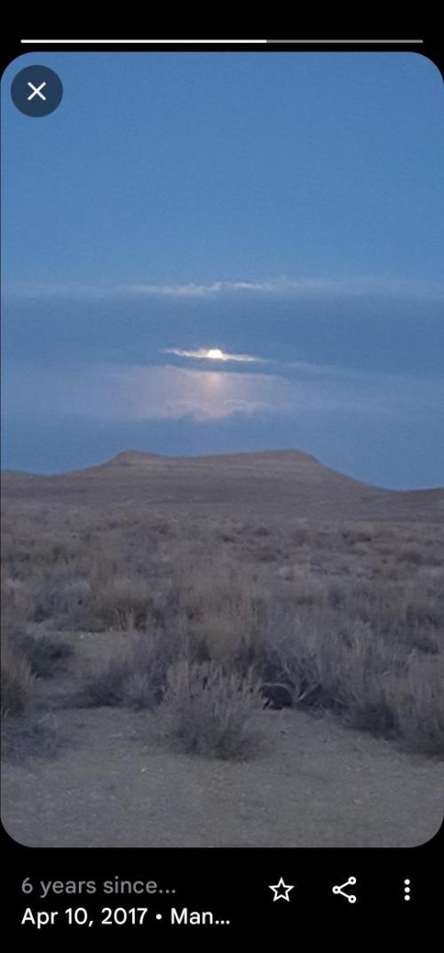 8b8a4f5a-c819-4ea6-ad9e-b63bcc950eed