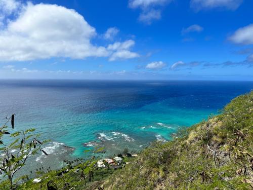 F035ABDD-58EF-4FA2-80B1-A4CEFABF2D97