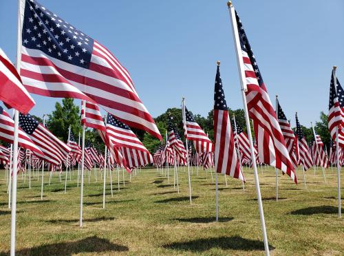 Field of Flags