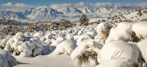 A32ED25E-1B96-409C-AA5D-27649B3004EE