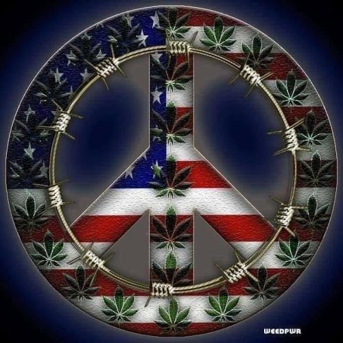 fac73bb1-bfb8-4851-844c-39623d3c836a