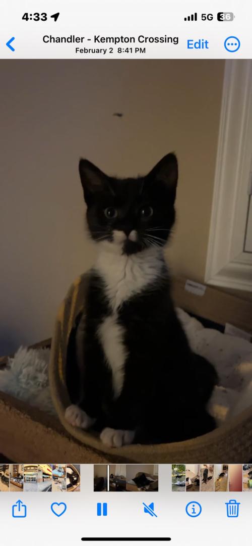 0C9E6136-764C-4F55-92D6-DED061725E65