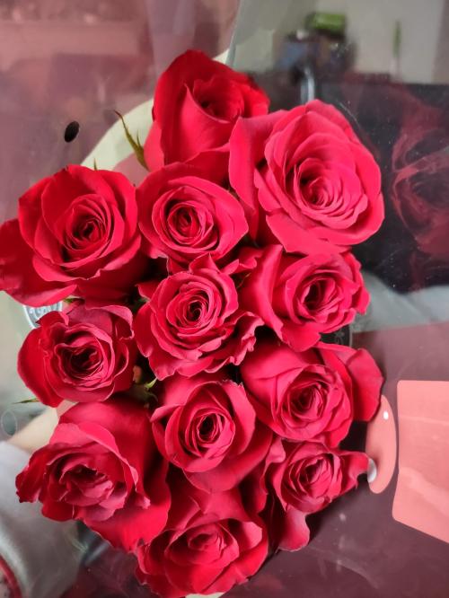 36f0833e-5bed-4fc5-8d81-f45e2e51e7e3