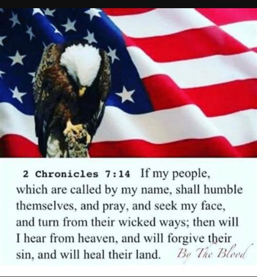 451ABEFA-70DA-4ED5-9ADA-FAB22C78FE68