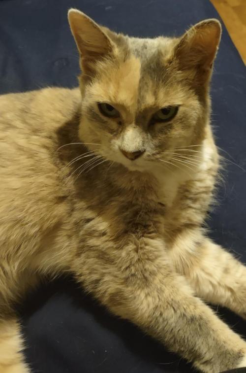 4312c78b-9427-47c2-81a2-108cce722d4b