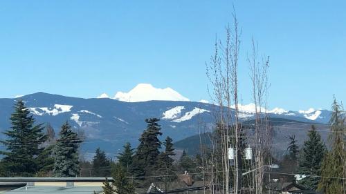 F2CB62E6-AD47-4D19-9A83-92616BA11541