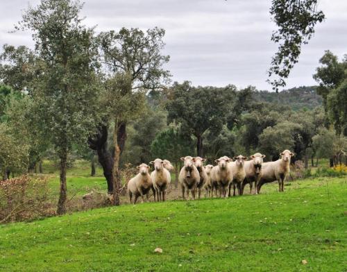 5862E9A9-3B60-4DA5-B8CE-D2AE2A45BDAA