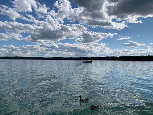 267AFA79-BDDB-4C60-999A-BF6DC25656CA