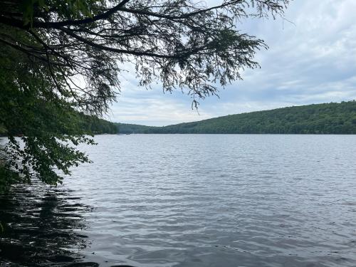 367793D4-E66C-44E2-B669-73BCD96B0D64