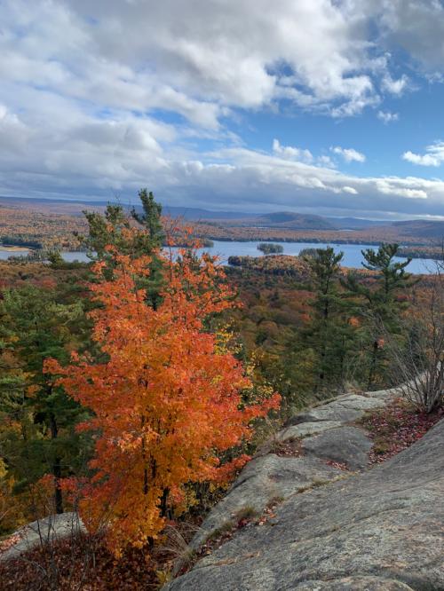 290F8E11-5BDD-4EDF-B1BA-B2650A9E15AD