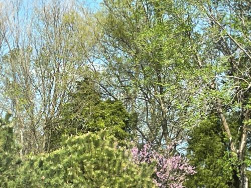 0ABFD137-9F74-4074-B9DD-D5C005C65EC1