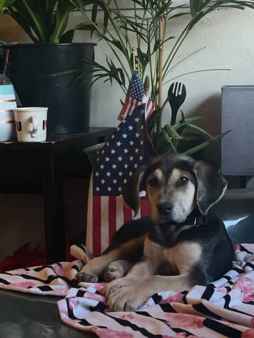 44643224-3BA8-4964-A66C-76AAC6B8E9E5