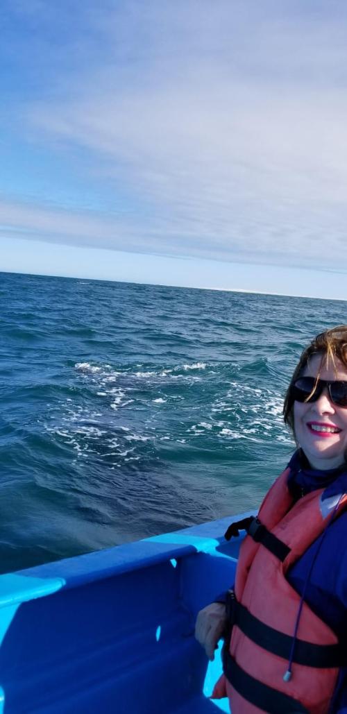 93d37caf-ae14-4185-9d82-a524be737351