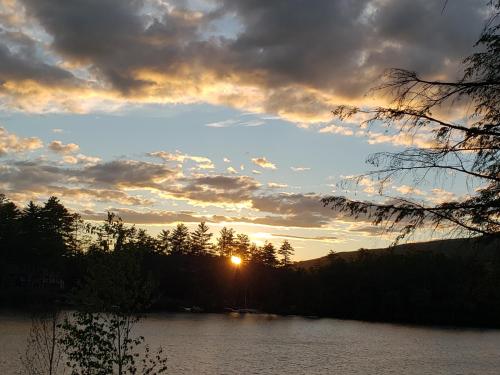 d042f041-987d-4f3a-87c9-5676bc942c1f