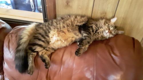 da3c4fb9-8e32-47ae-8767-226c588224f4