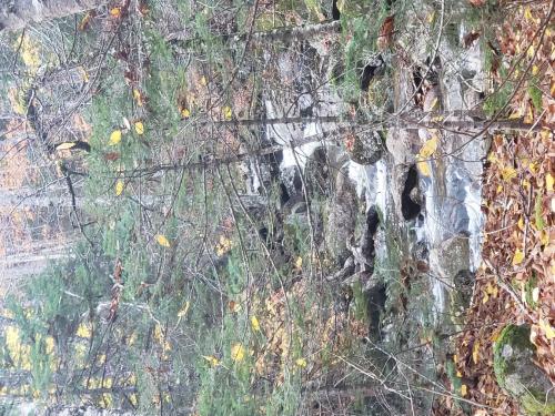 0b0c452c-0066-4303-8aa8-eedaacc14635