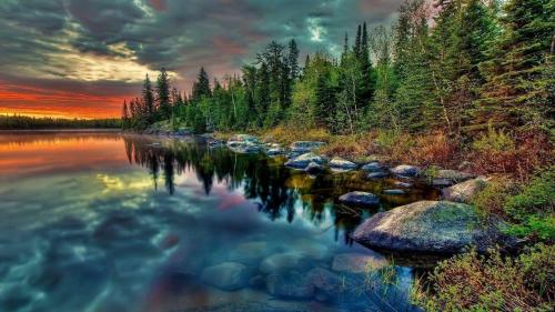 nature1