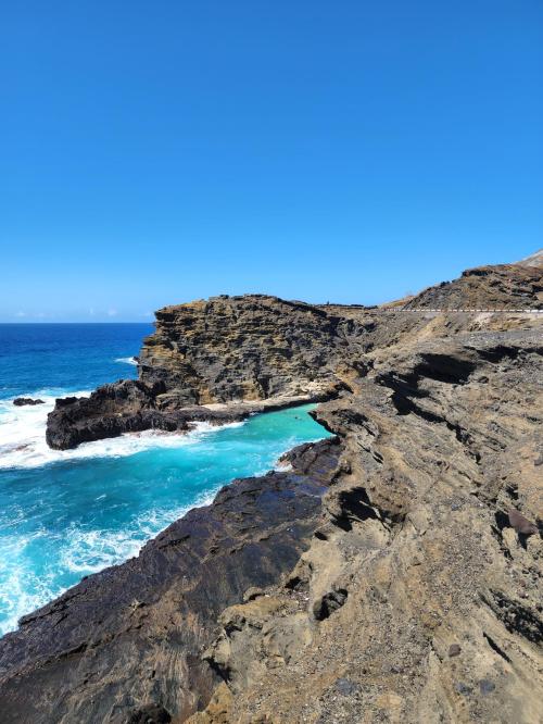 f319cea5-8fa8-4fe4-8166-06d768b54972