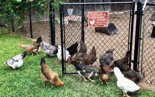 6D34418E-8DAC-4BCF-9884-4A70B88D6C57