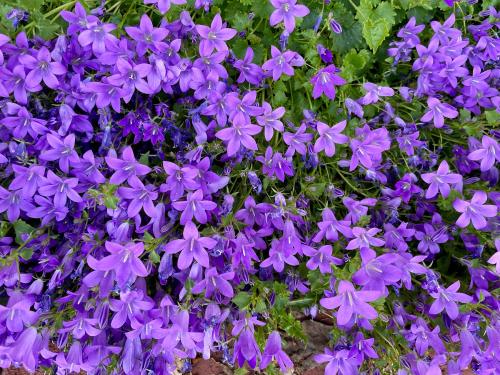 AE34F56B-D876-492A-80BA-E52A21B0C7A0