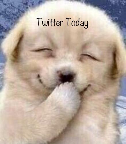 929BECAE-54B6-46E6-98E2-8D1DEE82BC90