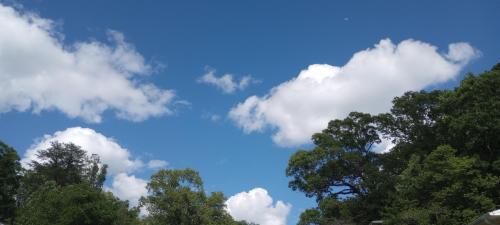 inbound6564007642056035472