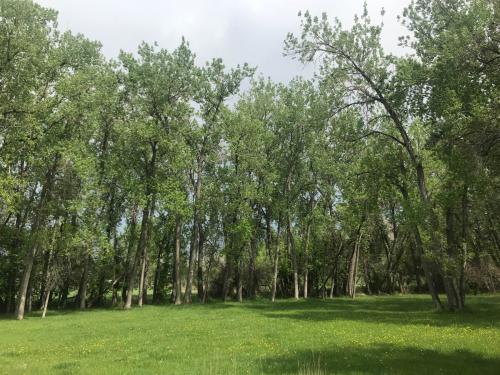 27013719-D3F6-43B0-8FD3-B034C26780E7