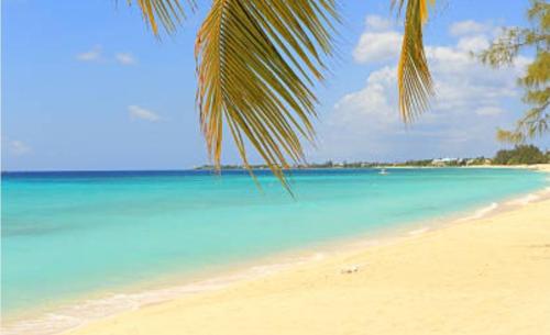 749ab6cb-229e-4cd7-b682-e2b9903db2b9