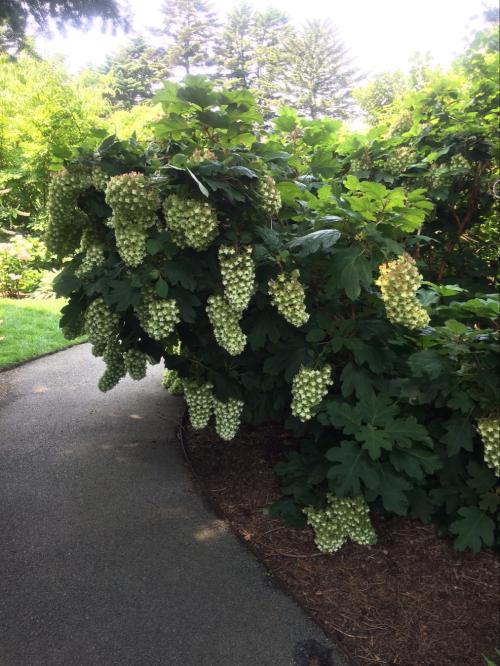 31913E33-4DDD-4CFE-844E-FD981BCDF449