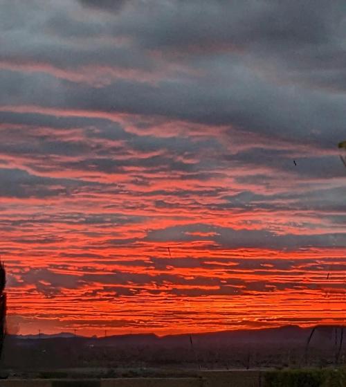 c72e9931-5d5f-4512-9b5e-87053fbe29f9