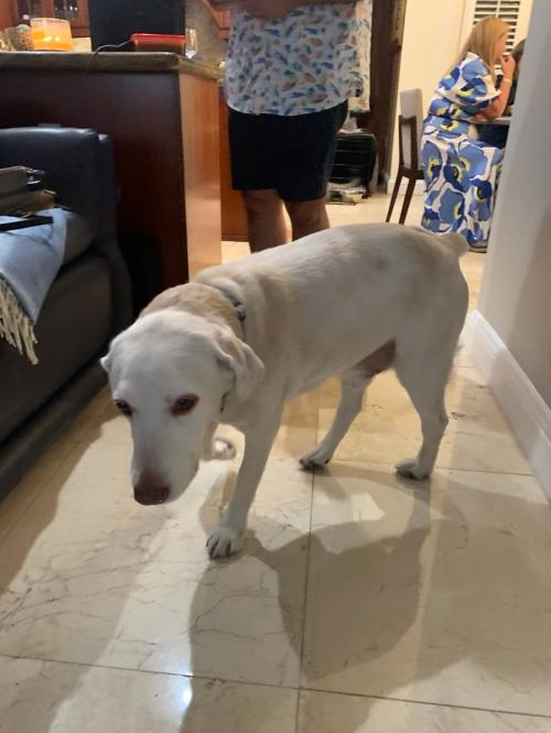 BA1B45C9-AF4E-4365-AF59-3403781BF62A