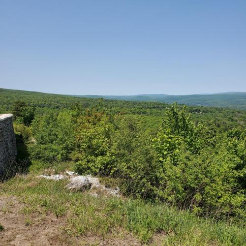 f0022fdf-614d-4805-a722-27b7aa7ef823