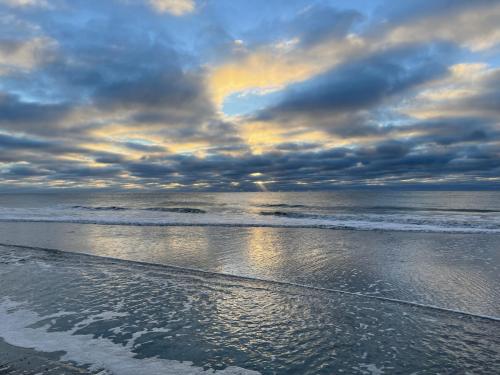 06260A12-3586-4A2F-8AAE-38AB57FC0BBB