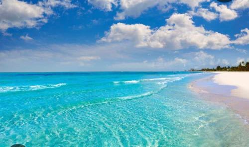 0E100B42-AE54-4A38-AFA7-BD49BC34E88E