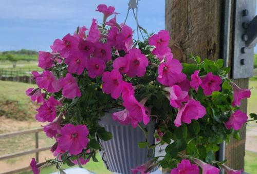 646162b5-8c30-4824-bc3e-2126317978c1