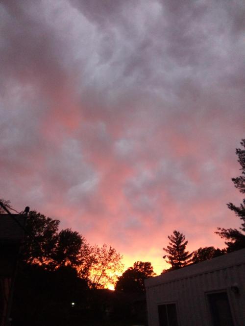 42538d72-6b3c-4ee6-9a50-0a3c25ab6fee