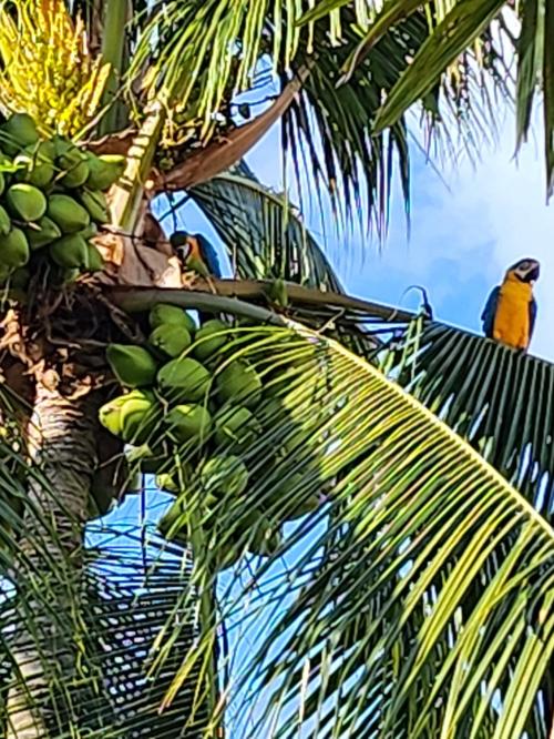 900b4d54-beb9-47be-b902-cb1dae49ae42