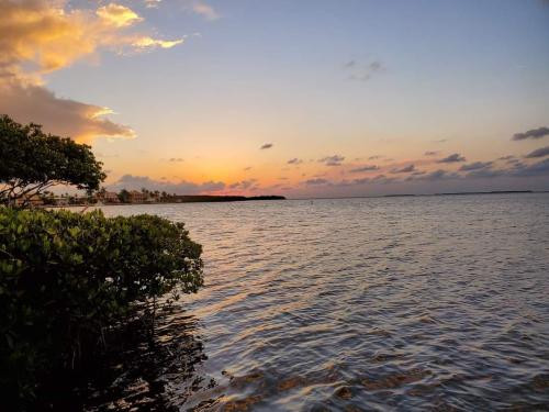 c29403de-206c-4cc5-8e24-d94383c4d06f