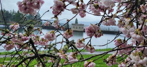 E0618BCD-CED6-45E9-B6E6-B29C3FDF4911