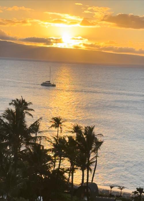 252078F6-C132-40F9-9D4B-32A71D2B79E4