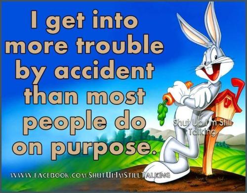 c9a6dcf5-ed96-4032-bdbd-320fa7776c38