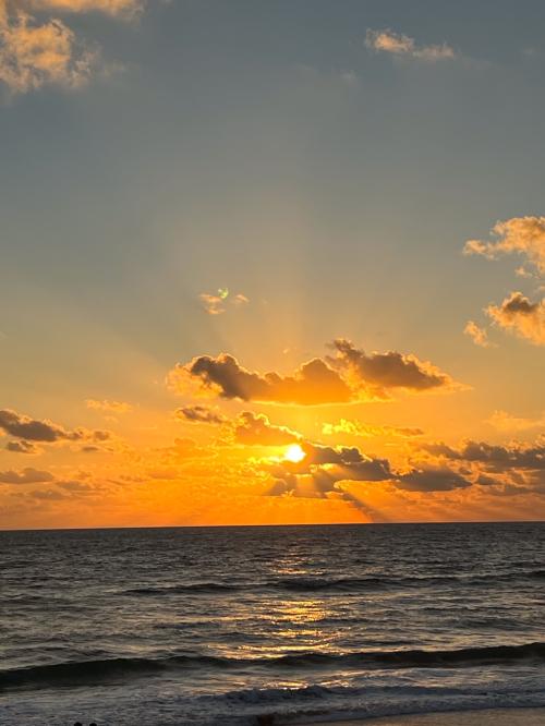 FE2C4802-C1EF-419E-A704-7A10806C8595