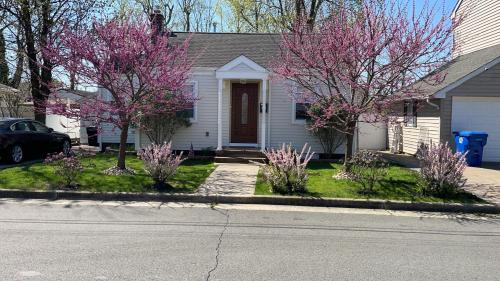 F15D2624-3B4C-456D-9BC8-BBBE902336AE