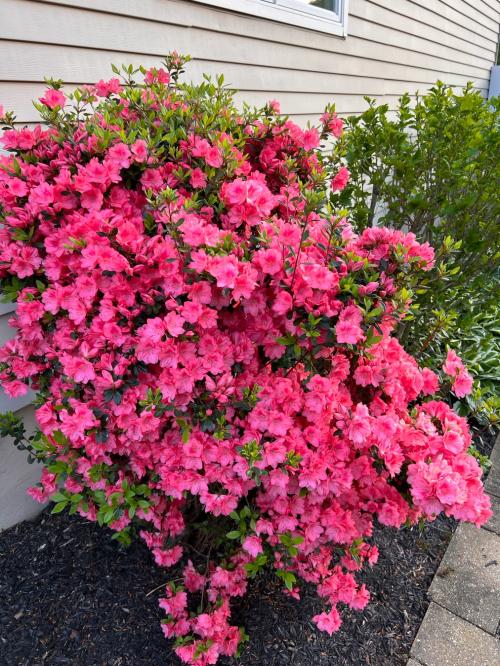 F0EFC874-F539-4F5B-BDCF-C5A43DEC30D0