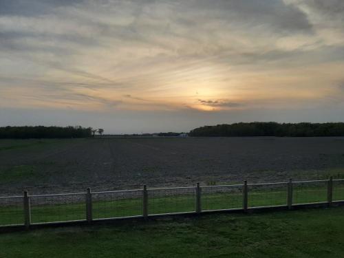 8b09d569-c497-4772-b1ef-efdcc9b93590