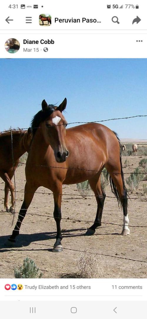 552a1440-ad46-4ba9-842f-39797c2320d5