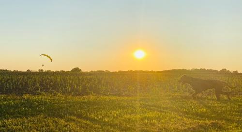 ADA4641E-0863-47E7-933D-46C147DDAF5A